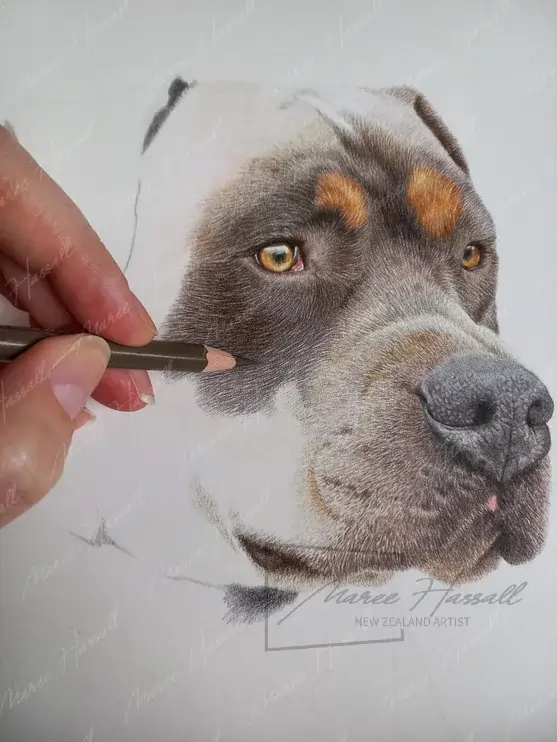 An example of the fine art quality results